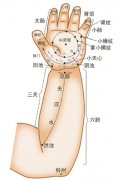 花都小儿推拿培训|小儿推拿常用穴位：手肘部穴位