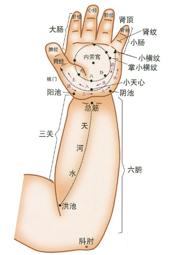 小儿推拿常用穴位：手肘部