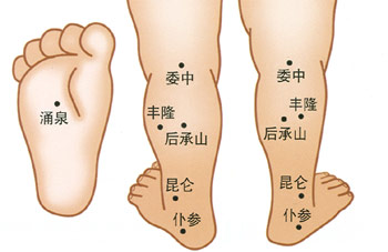 小儿推拿常用穴位：下肢部