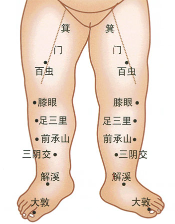 小儿推拿常用穴位：下肢部