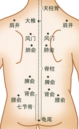 小儿推拿常用穴位：腰背部