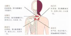 花都小儿推拿培训学校之卫气营血辨证